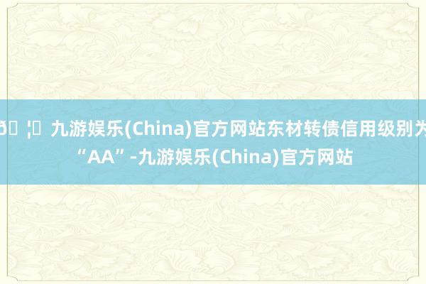 🦄九游娱乐(China)官方网站东材转债信用级别为“AA”-九游娱乐(China)官方网站