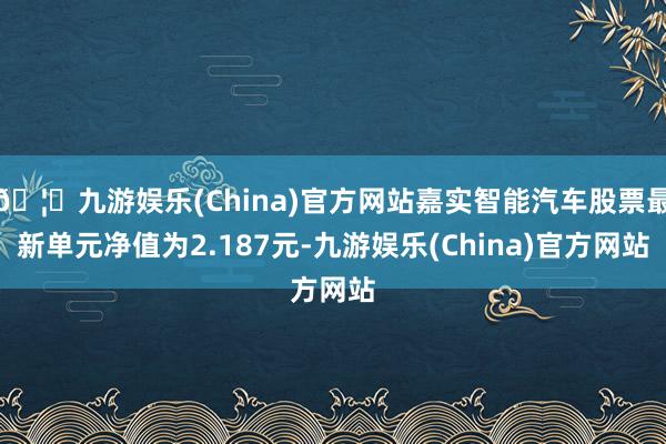 🦄九游娱乐(China)官方网站嘉实智能汽车股票最新单元净值为2.187元-九游娱乐(China)官方网站
