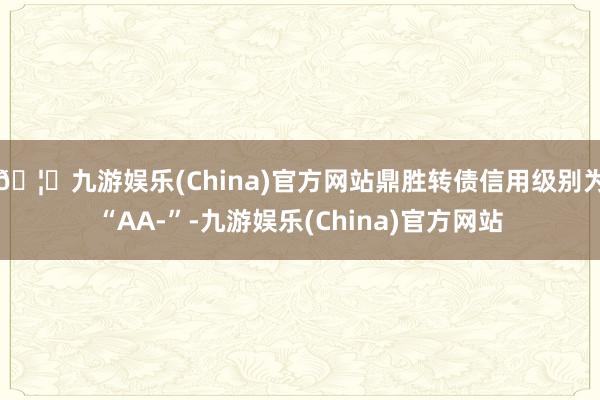 🦄九游娱乐(China)官方网站鼎胜转债信用级别为“AA-”-九游娱乐(China)官方网站