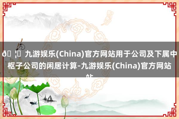 🦄九游娱乐(China)官方网站用于公司及下属中枢子公司的闲居计算-九游娱乐(China)官方网站