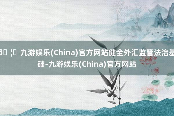 🦄九游娱乐(China)官方网站健全外汇监管法治基础-九游娱乐(China)官方网站