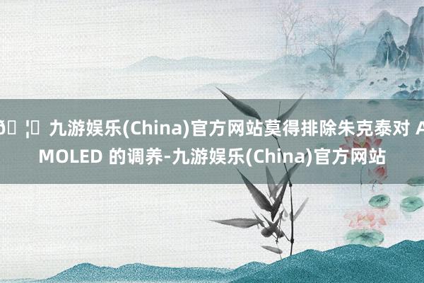🦄九游娱乐(China)官方网站莫得排除朱克泰对 AMOLED 的调养-九游娱乐(China)官方网站