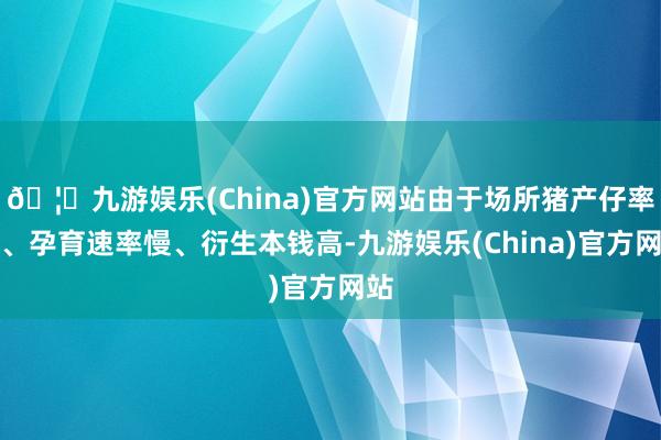 🦄九游娱乐(China)官方网站由于场所猪产仔率低、孕育速率慢、衍生本钱高-九游娱乐(China)官方网站