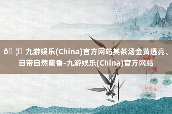 🦄九游娱乐(China)官方网站其茶汤金黄透亮、自带自然蜜香-九游娱乐(China)官方网站