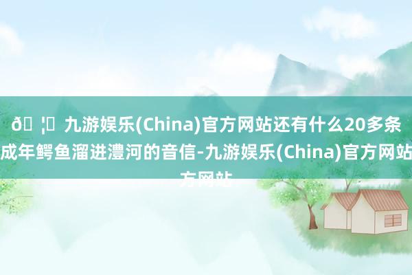 🦄九游娱乐(China)官方网站还有什么20多条成年鳄鱼溜进澧河的音信-九游娱乐(China)官方网站