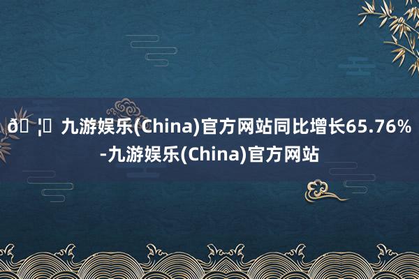 🦄九游娱乐(China)官方网站同比增长65.76%-九游娱乐(China)官方网站