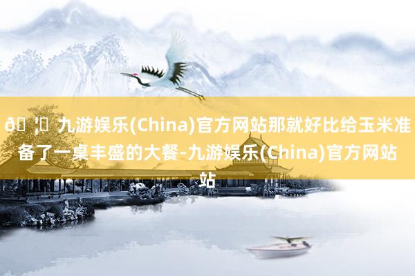 🦄九游娱乐(China)官方网站那就好比给玉米准备了一桌丰盛的大餐-九游娱乐(China)官方网站
