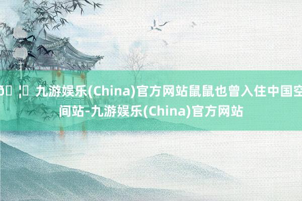 🦄九游娱乐(China)官方网站鼠鼠也曾入住中国空间站-九游娱乐(China)官方网站