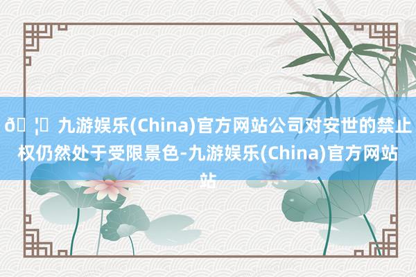 🦄九游娱乐(China)官方网站公司对安世的禁止权仍然处于受限景色-九游娱乐(China)官方网站