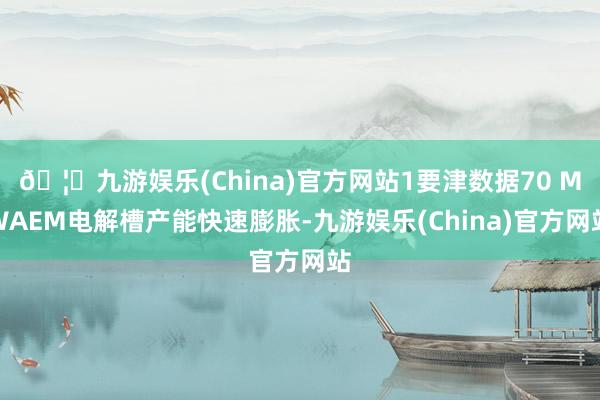 🦄九游娱乐(China)官方网站1要津数据70 MWAEM电解槽产能快速膨胀-九游娱乐(China)官方网站
