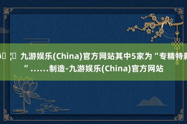 🦄九游娱乐(China)官方网站其中5家为“专精特新”…… 制造-九游娱乐(China)官方网站