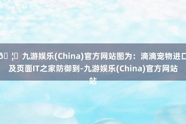 🦄九游娱乐(China)官方网站图为：滴滴宠物进口及页面IT之家防御到-九游娱乐(China)官方网站