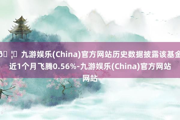 🦄九游娱乐(China)官方网站历史数据披露该基金近1个月飞腾0.56%-九游娱乐(China)官方网站