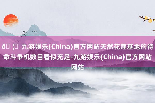 🦄九游娱乐(China)官方网站天然花莲基地的待命斗争机数目看似充足-九游娱乐(China)官方网站