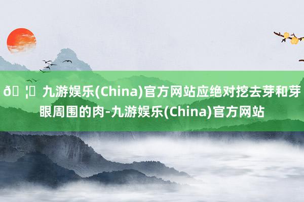 🦄九游娱乐(China)官方网站应绝对挖去芽和芽眼周围的肉-九游娱乐(China)官方网站
