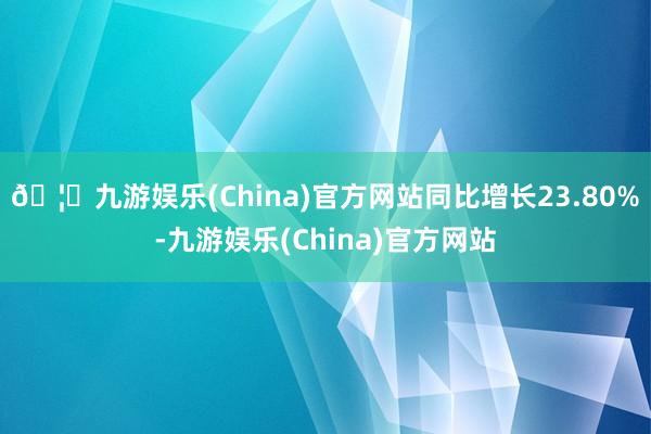 🦄九游娱乐(China)官方网站同比增长23.80%-九游娱乐(China)官方网站