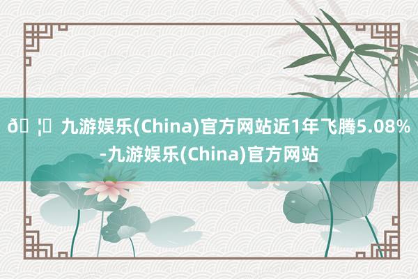 🦄九游娱乐(China)官方网站近1年飞腾5.08%-九游娱乐(China)官方网站