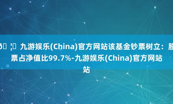 🦄九游娱乐(China)官方网站该基金钞票树立：股票占净值比99.7%-九游娱乐(China)官方网站