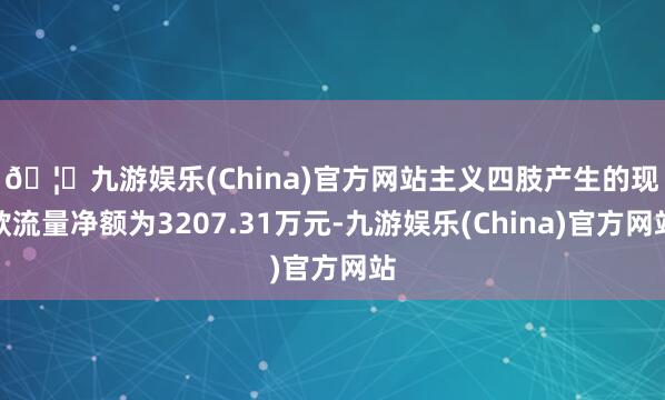 🦄九游娱乐(China)官方网站 主义四肢产生的现款流量净额为3207.31万元-九游娱乐(China)官方网站