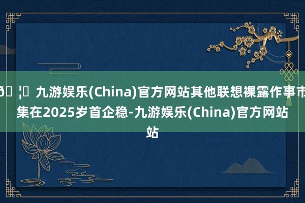 🦄九游娱乐(China)官方网站其他联想裸露作事市集在2025岁首企稳-九游娱乐(China)官方网站
