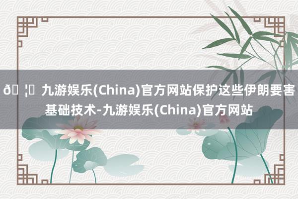 🦄九游娱乐(China)官方网站保护这些伊朗要害基础技术-九游娱乐(China)官方网站