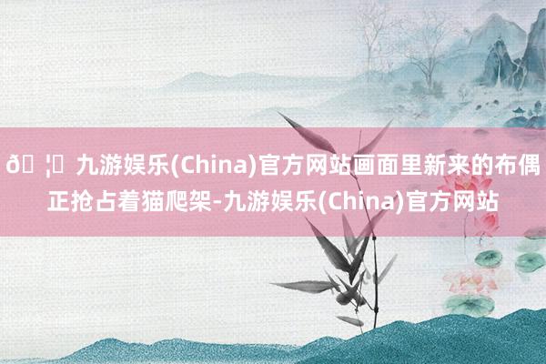🦄九游娱乐(China)官方网站画面里新来的布偶正抢占着猫爬架-九游娱乐(China)官方网站