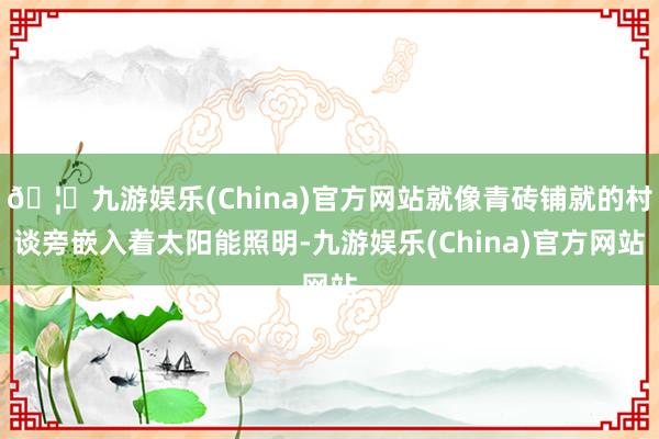 🦄九游娱乐(China)官方网站就像青砖铺就的村谈旁嵌入着太阳能照明-九游娱乐(China)官方网站