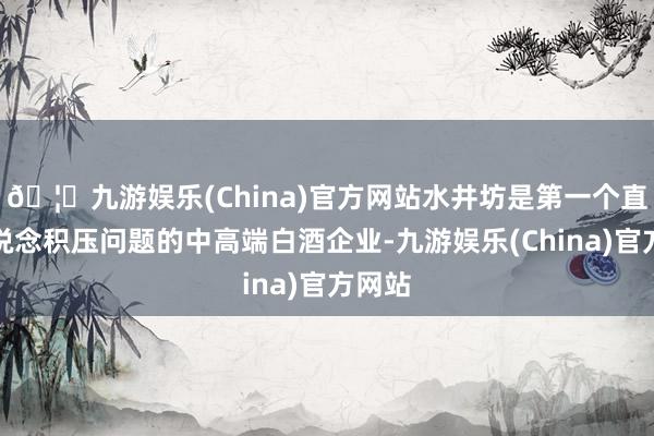 🦄九游娱乐(China)官方网站水井坊是第一个直面渠说念积压问题的中高端白酒企业-九游娱乐(China)官方网站