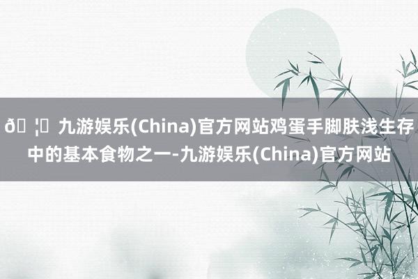 🦄九游娱乐(China)官方网站鸡蛋手脚肤浅生存中的基本食物之一-九游娱乐(China)官方网站