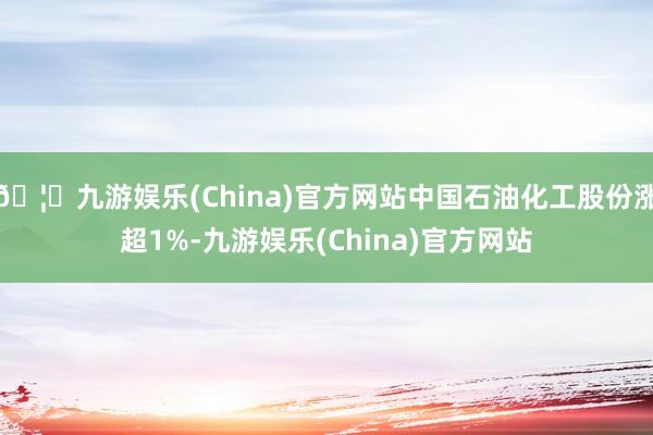 🦄九游娱乐(China)官方网站中国石油化工股份涨超1%-九游娱乐(China)官方网站